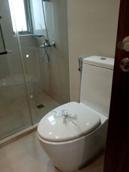 Nassim Regency (D10), Condominium #588239821